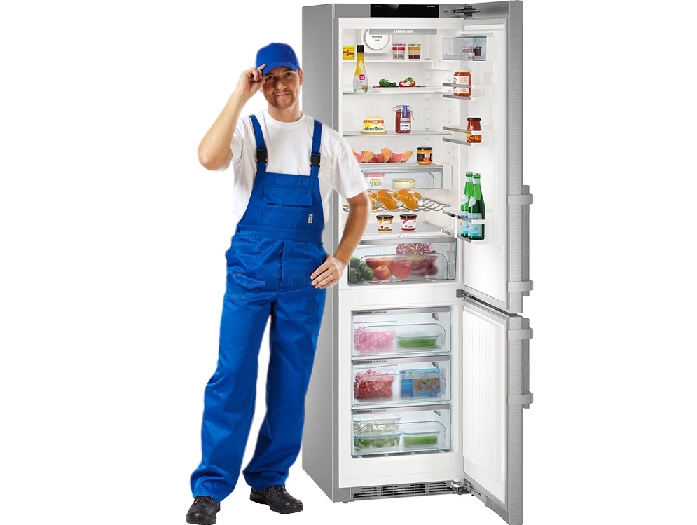 Как заменить лампочку в холодильнике Liebherr Как заменить лампочку в холодильнике Liebherr