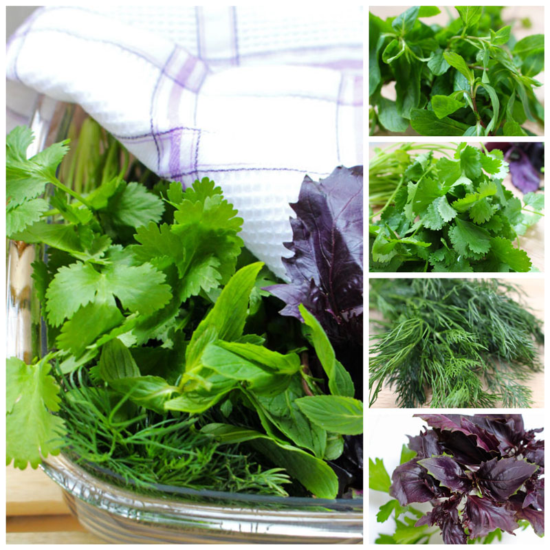 Как хранить зелень