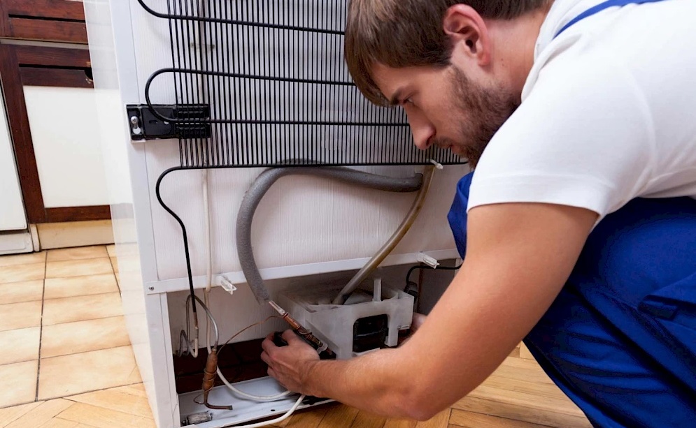 Лучшие по цене и качеству холодильники 2024 года Лучшие по цене и качеству холодильники 2024 года