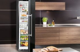 Какой холодильник лучше купить: отзывы специалистов в 2021 году Какой холодильник лучше купить: отзывы специалистов в 2021 году