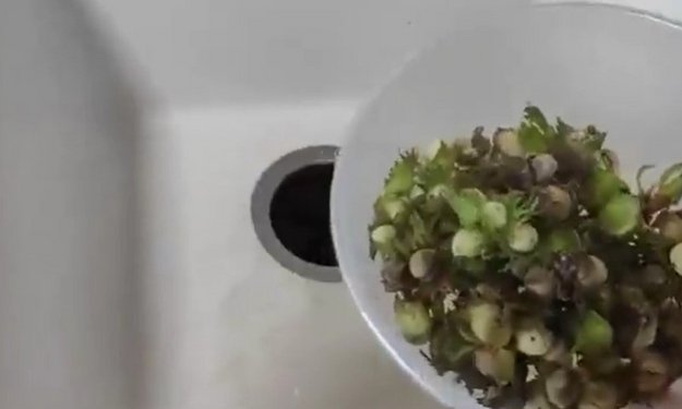 Измельчитель пищевых отходов InSinkErator Standart 460 (video 1)