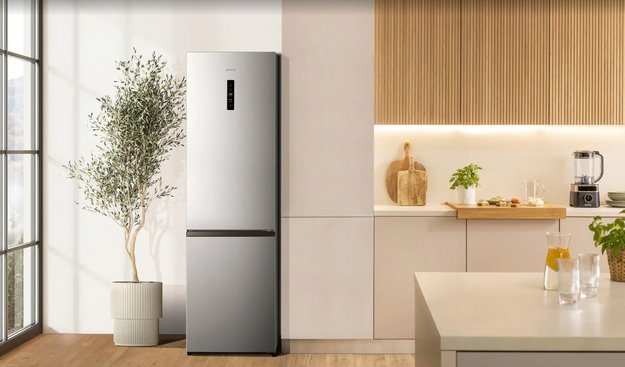 Отдельностоящий двухкамерный холодильник Gorenje NRK620161X4I (preview 6)