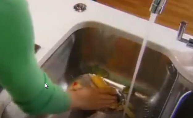 Измельчитель пищевых отходов InSinkErator Standart 460 (video 2)