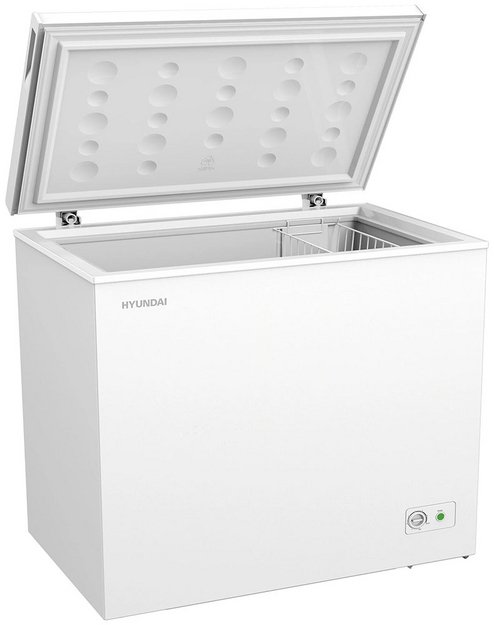 Морозильный ларь Hyundai CH25031 (preview 2)