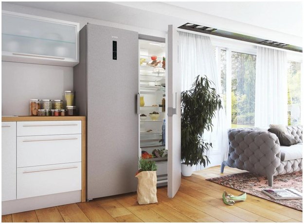 Однокамерный холодильник Gorenje R 6192 LX (preview 14)