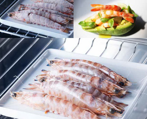 Встраиваемый шкаф шоковой заморозки Irinox Freddy 60 HF602350007 (текстурированная медь/черный) (preview 10)