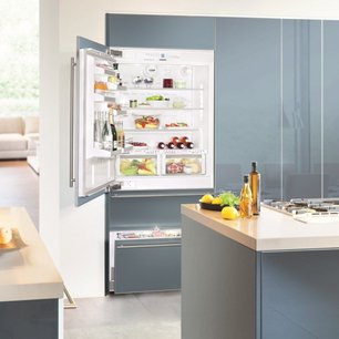 Встраиваемый холодильник Либхер ECBN 6156 Premium Plus NoFrost фото 3 в Челябинске Встраиваемый холодильник Liebherr ECBN 6156 Premium Plus NoFrost фото 3 в Челябинске