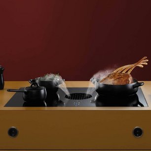 Индукционная варочная панель со встроенной вытяжкой BORA PUXA фото 3 в Челябинске