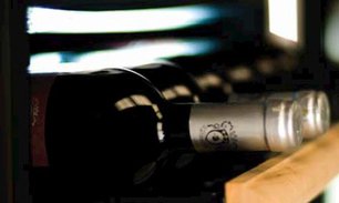 Винный шкаф IP C 151X фото 3 в Челябинске