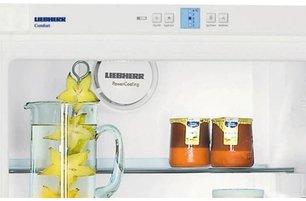 Холодильник Либхер K 3120 Comfort фото 3 в Челябинске Холодильник Liebherr K 3120 Comfort фото 3 в Челябинске