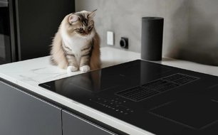 Индукционная варочная панель Zigmund Shtain CIS 311.75 BX с вытяжкой фото 4 в Челябинске