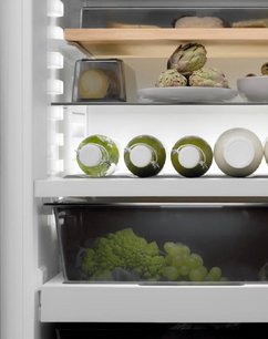 Встраиваемый холодильник BORA C178KGWS2 фото 4 в Челябинске