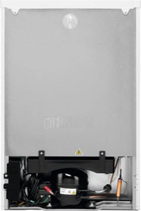 Холодильник Электролюкс LXB1AE13W0 фото 2 в Челябинске Холодильник Electrolux LXB1AE13W0 фото 2 в Челябинске