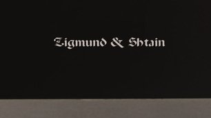 Духовой шкаф Zigmund Shtain EN 132.921 S фото 4 в Челябинске