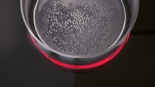 Варочная панель Electrolux EHF 96547 SW фото 2 в Челябинске