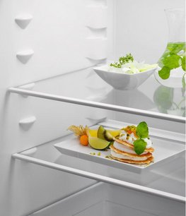 Встраиваемый холодильник Электролюкс ERD6DE18S4 фото 4 в Челябинске Встраиваемый холодильник Electrolux ERD6DE18S4 фото 4 в Челябинске