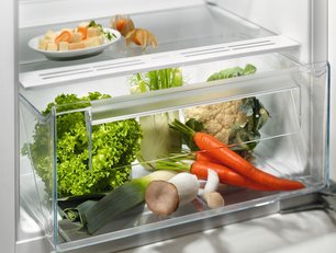 Встраиваемый холодильник Electrolux LRB3AE12S фото 3 в Челябинске