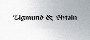 Духовой шкаф Zigmund Shtain EN 111.921 S фото 4 в Челябинске