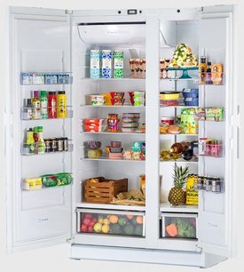 Холодильная камера Festivo 120 CM 120CM0461 (белый/нержавеющая сталь) фото 3 в Челябинске