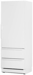 Холодильник с морозильной камерой Festivo 75 CF 75CF9411781 (белый/нержавеющая сталь) фото в Челябинске