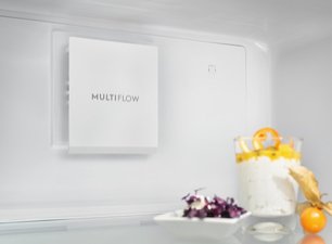 Холодильник Электролюкс RRT5MF38W1 фото 2 в Челябинске Холодильник Electrolux RRT5MF38W1 фото 2 в Челябинске