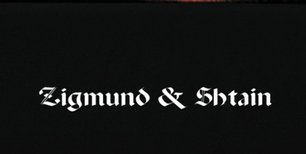 Духовой шкаф Zigmund Shtain EN 121.921 B фото 4 в Челябинске