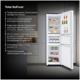 Холодильник Hyundai CM30073F белый фото 4 в Челябинске