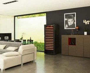 Монотемпературный винный шкаф EuroCave V-PURE-L P-300048-L фото 3 в Челябинске