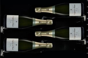 Винный шкаф Дунавокс DX-58.258DB фото 3 в Челябинске Винный шкаф Dunavox DX-58.258DB фото 3 в Челябинске