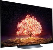 Телевизор LG OLED55B1RLA фото 4 в Челябинске