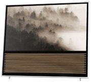 Телевизор Бэнг Олуфсен BeoVision 14-55 фото 2 в Челябинске Телевизор Bang & Olufsen BeoVision 14-55 фото 2 в Челябинске