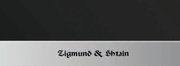 Духовой шкаф Zigmund Shtain EN 59.511 S фото 3 в Челябинске