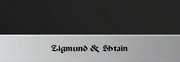 Духовой шкаф Zigmund Shtain EN 59.512 S фото 3 в Челябинске