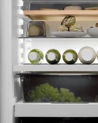 Встраиваемый холодильник BORA C178KGWS2 фото 4 в Челябинске