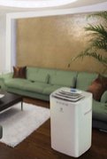 Мобильный кондиционер Electrolux EACM-16 EZ/N3 фото 3 в Челябинске