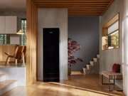 Сушильный шкаф Miele Aerium LC 860 WP OBSW фото 2 в Челябинске