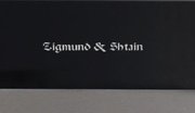 Духовой шкаф Zigmund Shtain EN 142.921 S фото 4 в Челябинске