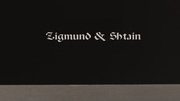 Духовой шкаф Zigmund Shtain EN 132.921 S фото 4 в Челябинске