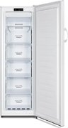 Морозильный шкаф Gorenje FN4171CW фото 2 в Челябинске