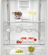 Холодильник AEG RCB63726OW фото 3 в Челябинске