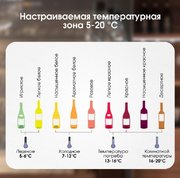 Винный шкаф Zigmund Shtain BR 21 X фото 4 в Челябинске