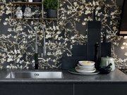 Мойка Franke BXX 210-68 сталь фото 2 в Челябинске