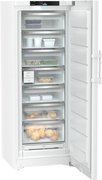 Морозильник Liebherr FNc 727i Peak фото 3 в Челябинске