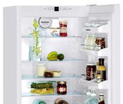 Холодильник Liebherr C 4023 фото 4 в Челябинске