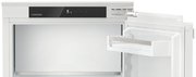 Встраиваемый холодильник Liebherr IRe 4021 Plus фото 3 в Челябинске