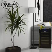 Винный шкаф Cold Vine C18-TBF1 фото 3 в Челябинске
