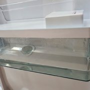 Холодильник Kaiser KS 80420 RS фото 4 в Челябинске