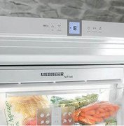 Холодильник Liebherr ICUNS 3023 фото 3 в Челябинске