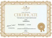 Винный шкаф Dunavox DAUF-32.83SS фото 3 в Челябинске