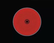 Варочная панель Electrolux EHF 96547 SW фото 3 в Челябинске